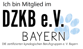dzkb logo